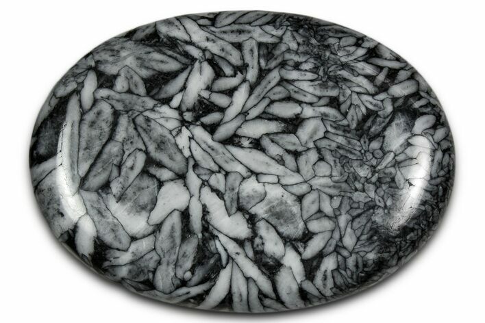 Polished Pinolite Palm Stone - Austria #343889